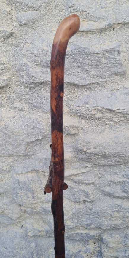 Birch Stick 38.75" BH24019