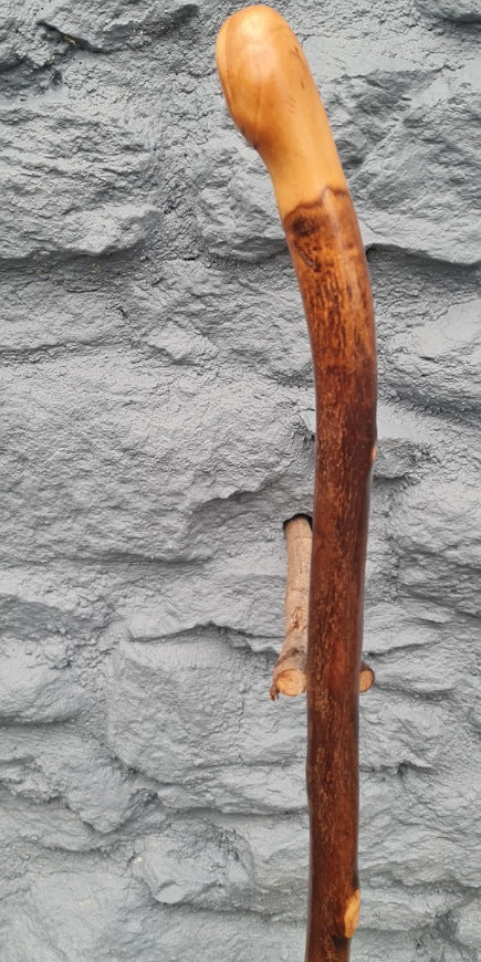 Walking Stick 38.25"  BH24026