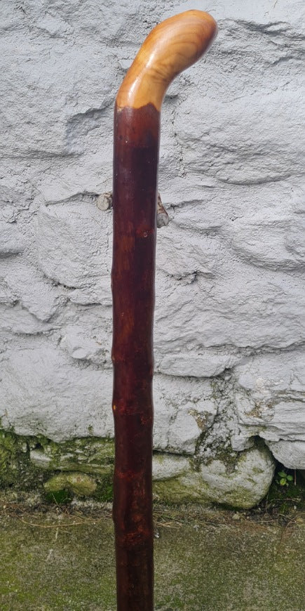 Authentic Blackthorn Walking Stick 30 inch