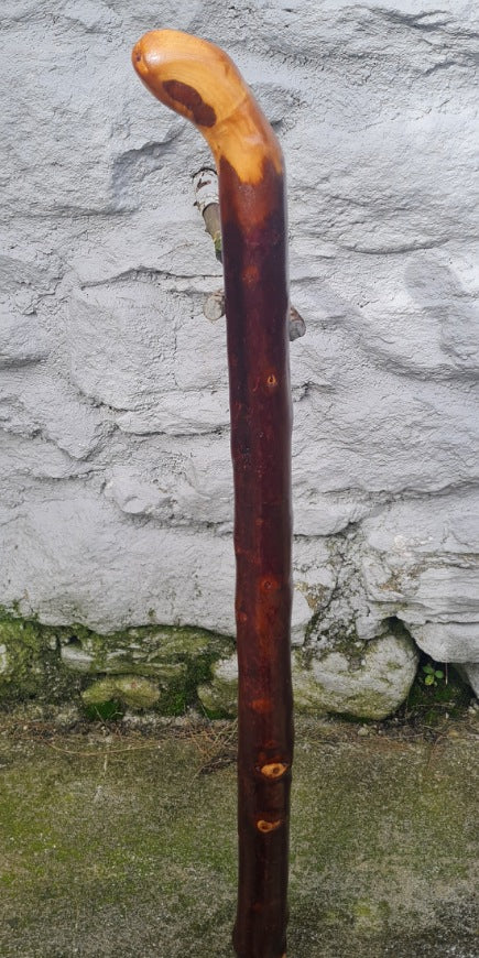 Authentic Blackthorn Walking Stick 30 inch