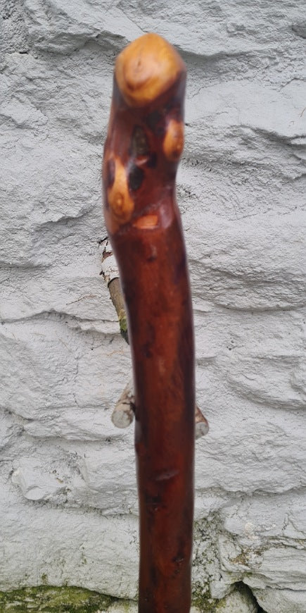 Authentic Blackthorn Walking Stick 32.25 inch