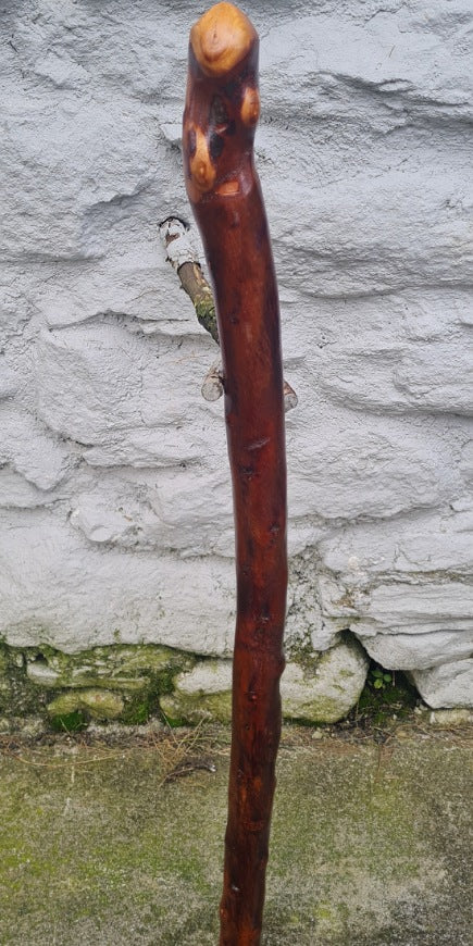 Authentic Blackthorn Walking Stick 32.25 inch