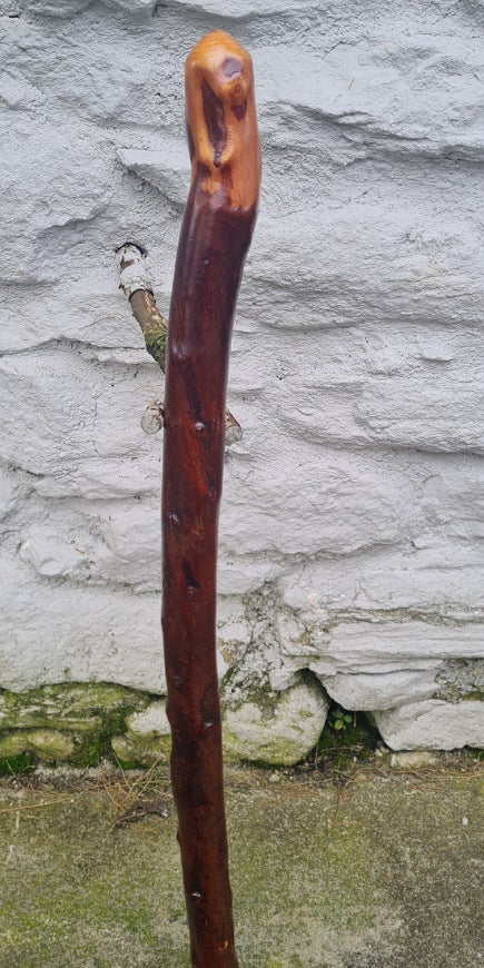 Authentic Blackthorn Walking Stick 32.25 inch