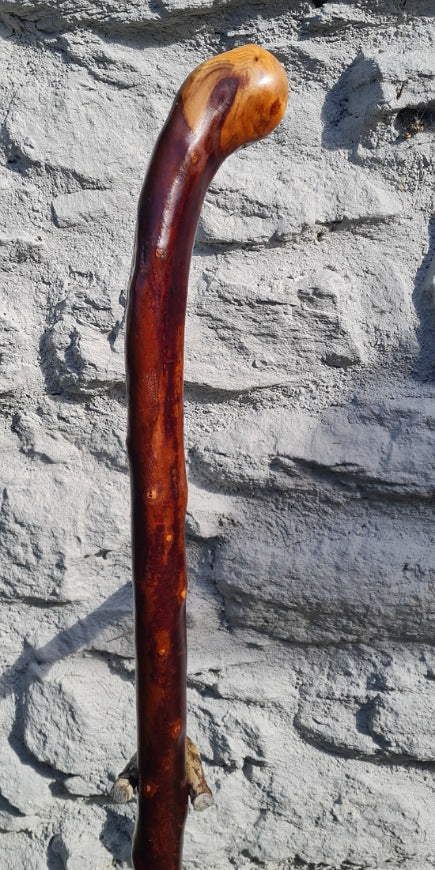 Blackthorn Walking Stick 42 inch