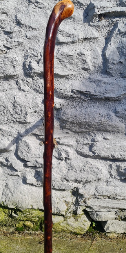 Blackthorn Walking Stick 42 inch