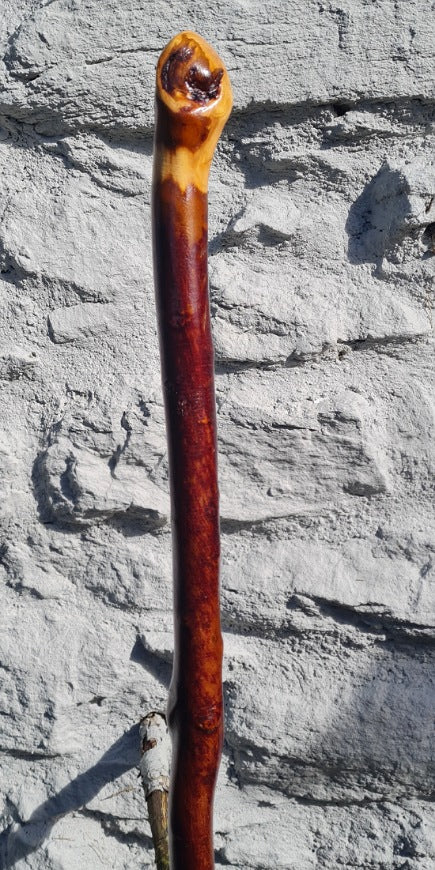 Blackthorn Walking Stick 44.25 inch