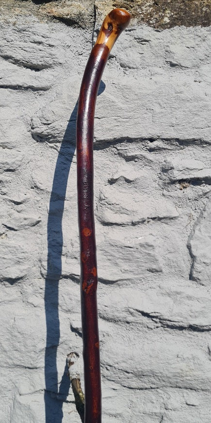 Blackthorn Hiking Staff  53.75 inch