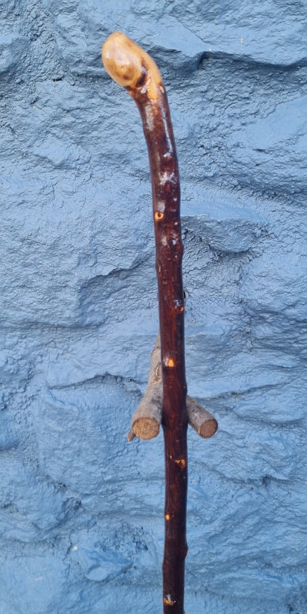 Blackthorn 33.25" BN25006