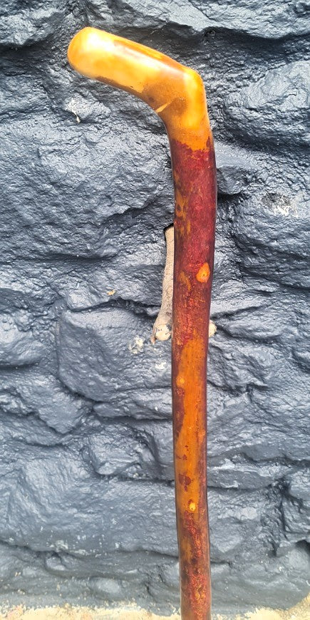 Blackthorn 33.25" BN25039