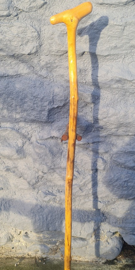 Elder Walking Cane 37.25 EY24007