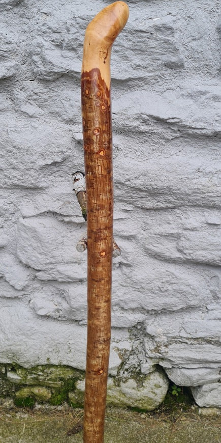 Hazel Wood Walking Stick 36.50 inch