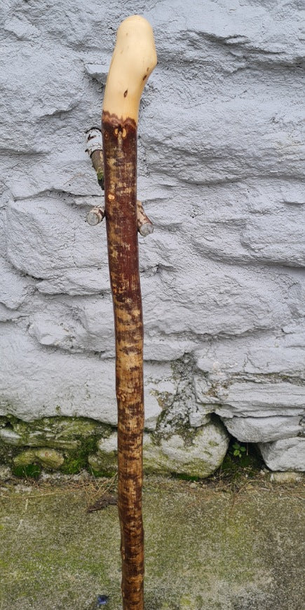 Hazel Wood Walking Stick 30.50 inch