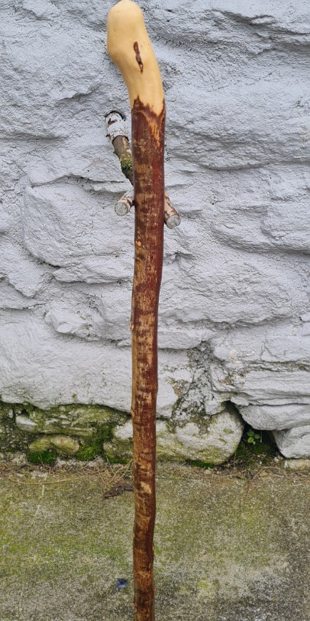 Hazel Wood Walking Stick 30.50 inch