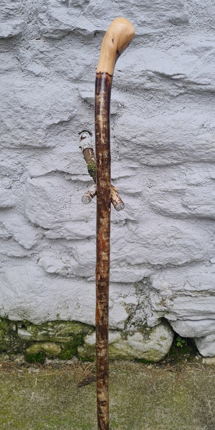 Hazel Walking Stick 36.50" HL24031