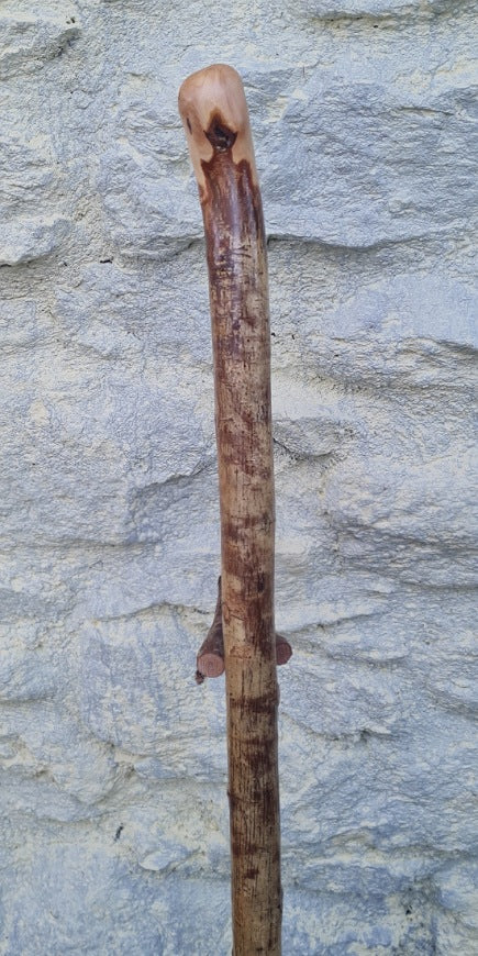 Hazel Walking Stick 36.25" HL24035