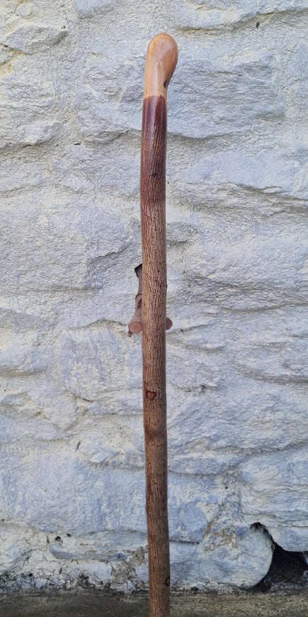 Hazel Walking Stick 37.00" HL24041