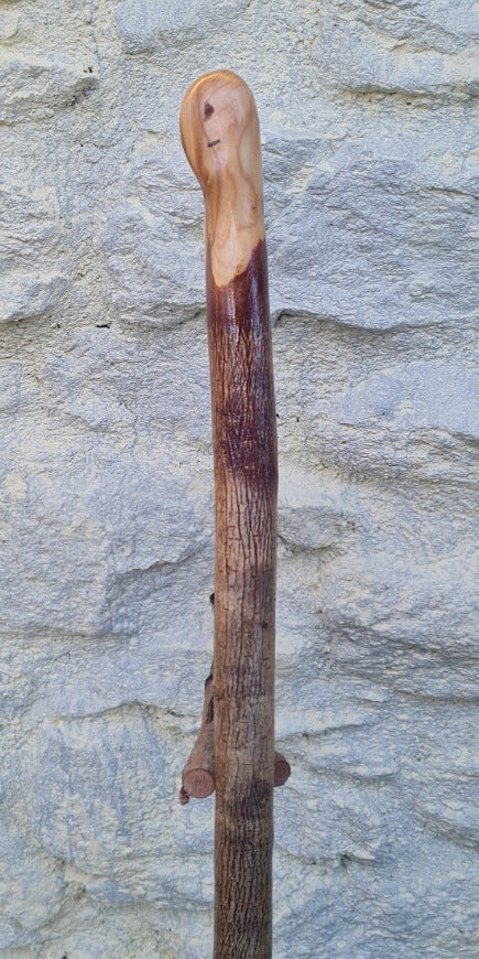 Hazel Walking Stick 37.00" HL24041