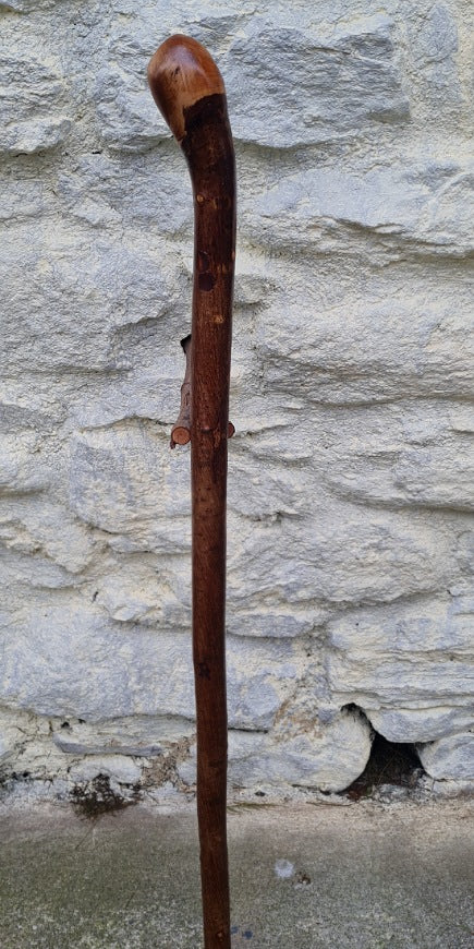 Hazel Walking Stick 36.00" HL24048