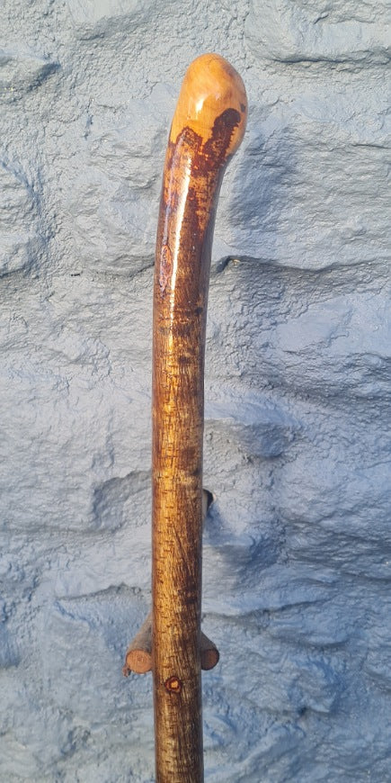 Hazel Walking Stick 37.50" HL24052