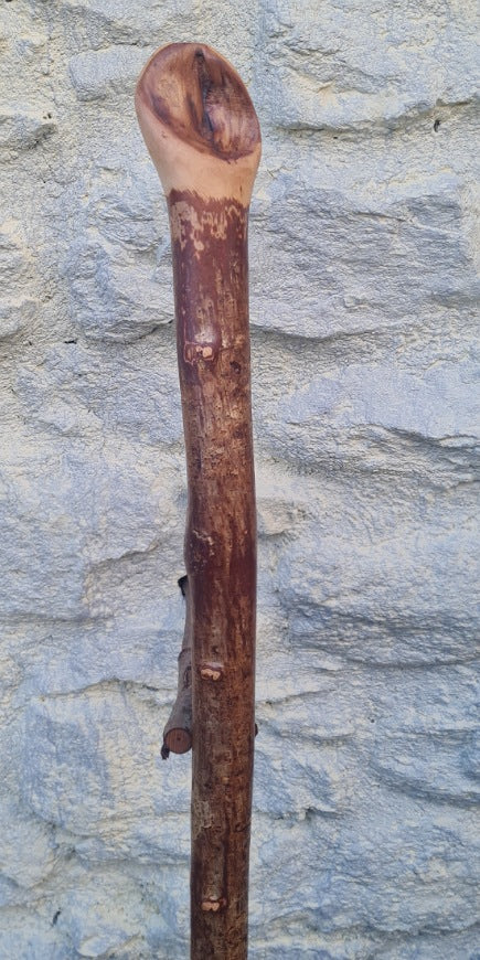 Hazel Walking Stick 38.50" HL24061