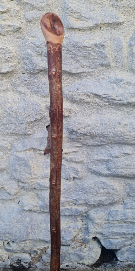 Hazel Walking Stick 38.50" HL24061