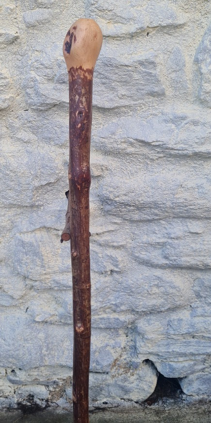 Hazel Walking Stick 38.50" HL24061