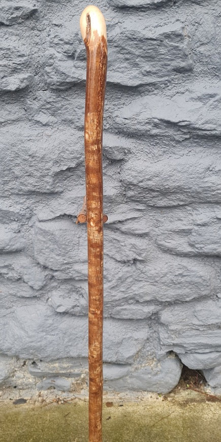 Hazel Stick 37.75" HL25001