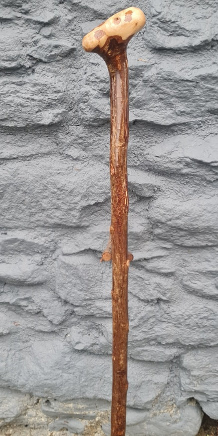 Hazel Stick 39.50" HL25005