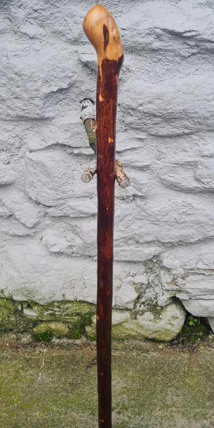 Hawthorn Wood Walking Stick 31.50 inch