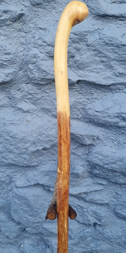 Privet Stick 38.00" PT25001